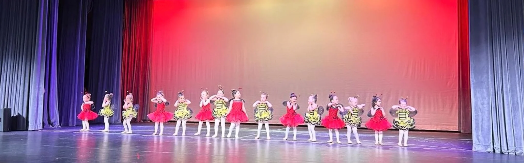 Donna Carbone's Dance Arts